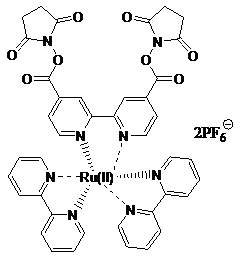 二(2,2`-二联吡啶)-4,4`-二羰基二联吡啶-钌二(N-琥珀酰亚胺酯)二(六氟磷酸盐)
