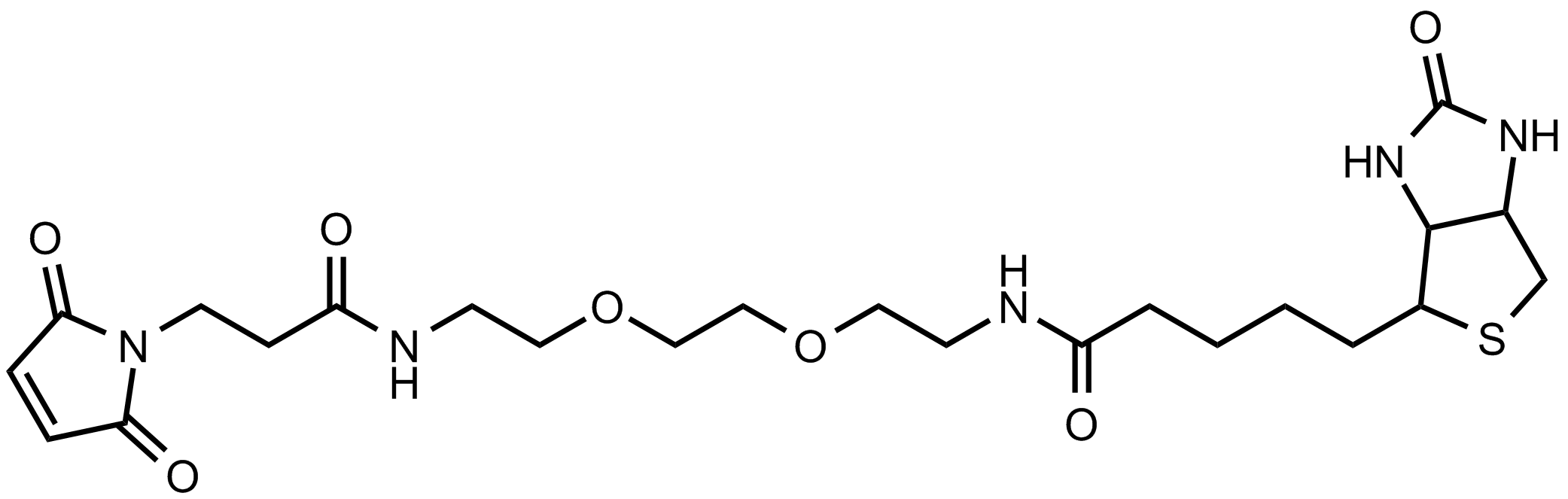 生物素二聚乙二醇马来酰亚胺