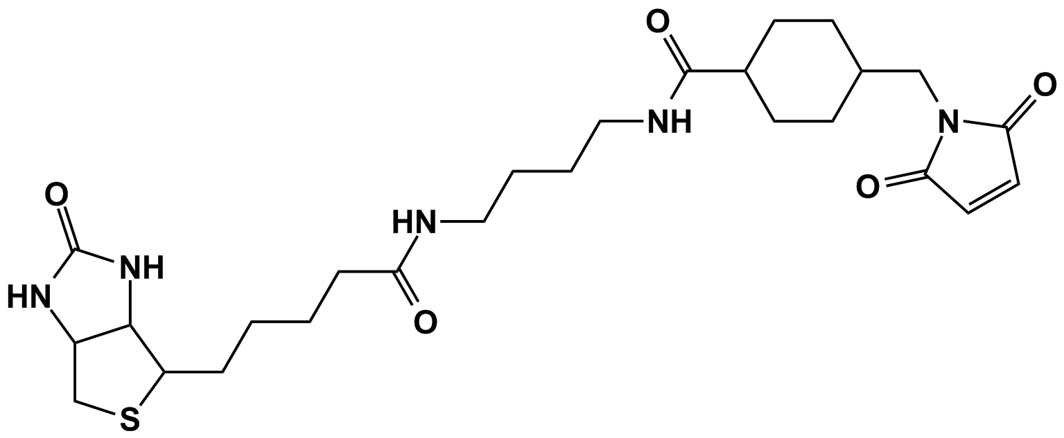 1-生物素酰氨基-4-[4`-(甲基马来酰胺)环己烷甲酰胺]丁烷(Biotin-BMCC)
