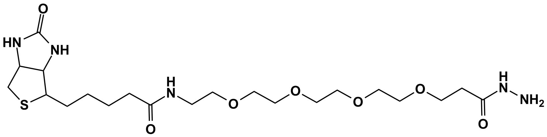 生物素-1-氨基-3,6,9,12-四氧代十五酸酰肼