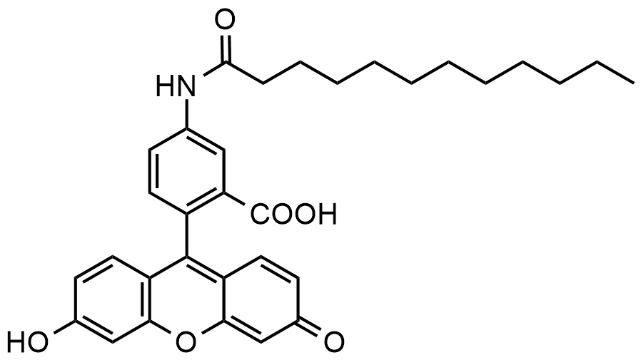 5-(十二酰胺基)荧光素