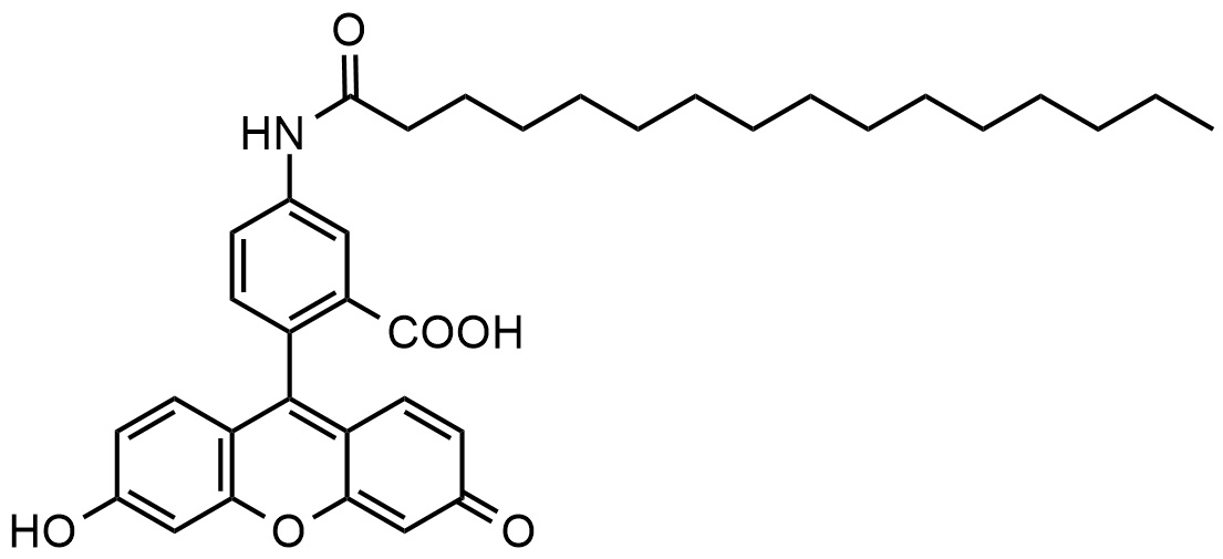 5-(十六酰胺基)荧光素