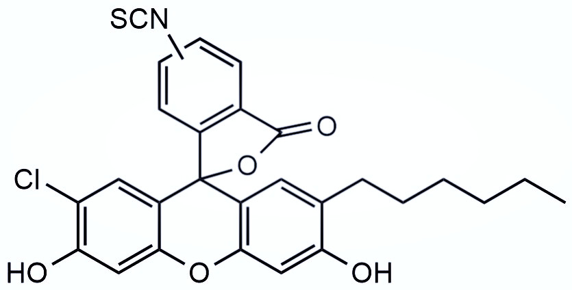 2‘-己基-7’-氯-5（6）-异硫氰酸基荧光素（HCFITC）