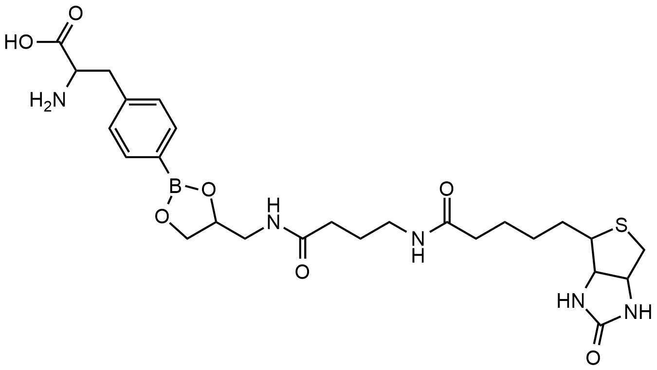 生物素酰氨基丁酰氨基丙二醇硼酸酯苯氨基丙酸（BABP）