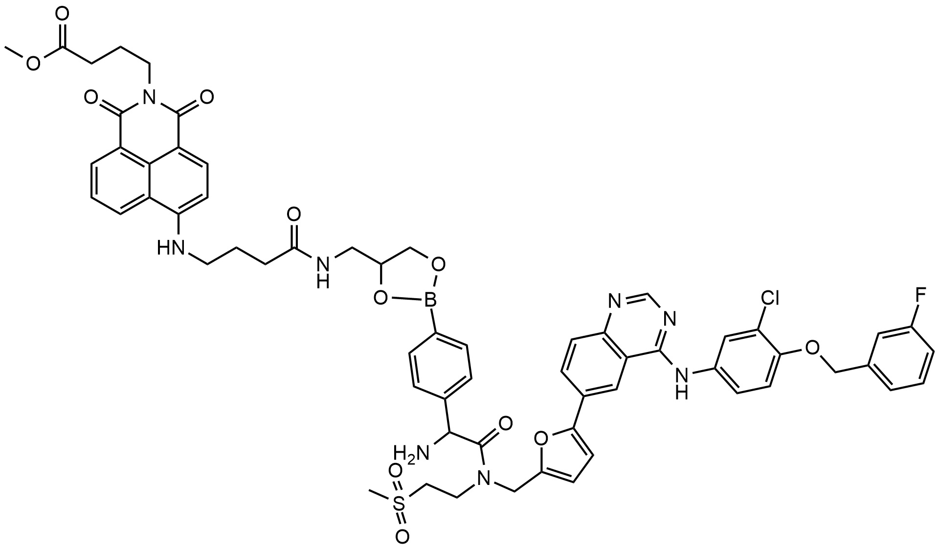 4-氨基-1，8-萘酰亚胺标记氨基丙二醇硼酸酯苯氨基丙酸拉帕替尼（ALBL）