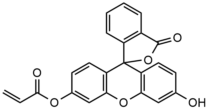 荧光素-O-丙烯酸酯