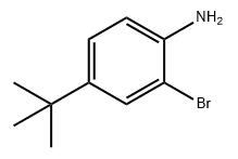 2-溴-4-(叔丁基)苯胺